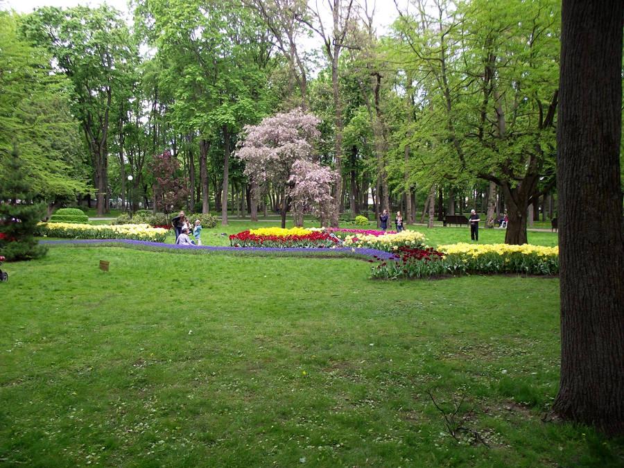 Парк в гомеле. Гомельский Центральный парк. Городской парк Гомель. Парки в Гомеле. Гомель парк лето.